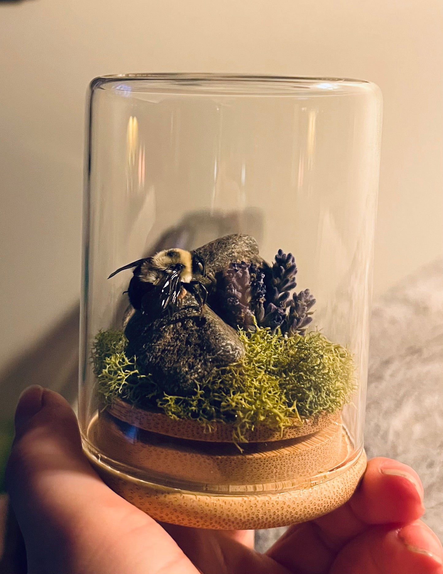 Cloche